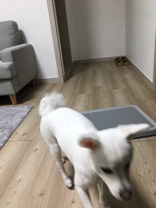 림짱님이 올린 리뷰 사진 1
