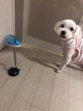 영쮸양님이 올린 리뷰 사진 3