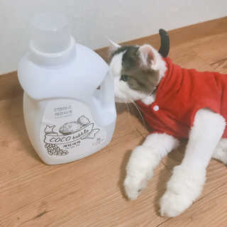 눌222님이 올린 리뷰 사진 2
