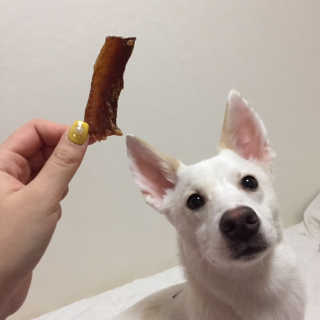 J님이 올린 리뷰 사진 2