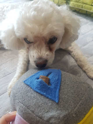 eunhye18181님이 올린 리뷰 사진 1