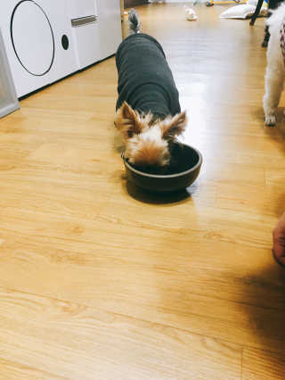 김민지님이 올린 리뷰 사진 2