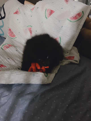 별톱님이 올린 리뷰 사진 3