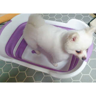 심쿵해에님이 올린 리뷰 사진 2