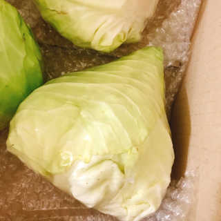 뭉뭉님이 올린 리뷰 사진 2