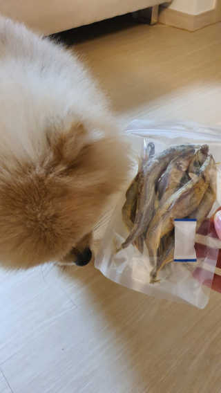 공삼님이 올린 리뷰 사진 1