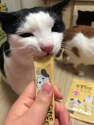 [펫토리아] 강아지,고양이겸용 짜먹는 한입뚝딱 — 3점을 준 리뷰어가 2019년 1월 올린 사용 사진