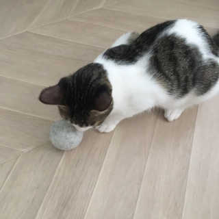 단발소녀님이 올린 리뷰 사진 1