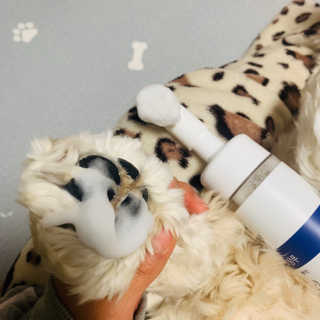 뽀니님이 올린 리뷰 사진 2