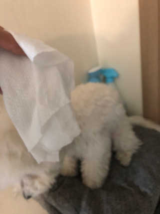 바다님이 올린 리뷰 사진 3