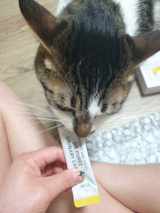 황선영님이 올린 리뷰 사진 3