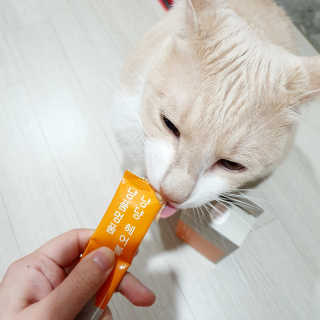 JENNY님이 올린 리뷰 사진 2