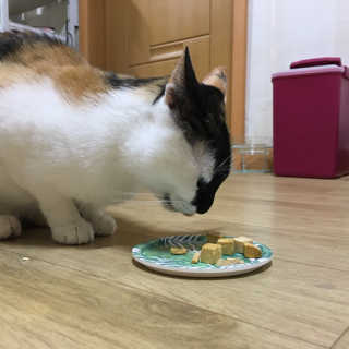402님이 올린 리뷰 사진 2