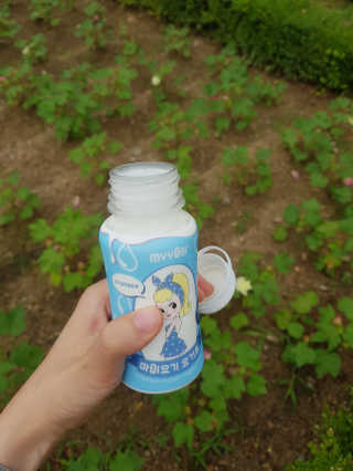 마이요기 요거트 — 5점을 준 리뷰어가 2019년 7월 올린 사용 사진