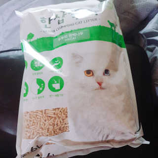 [펫토리아] BEST 고양이두부모래 6L 한삽뚝딱 — 5점을 준 리뷰어가 2019년 2월 올린 사용 사진