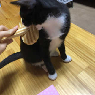 YE_BIN00님이 올린 리뷰 사진 3