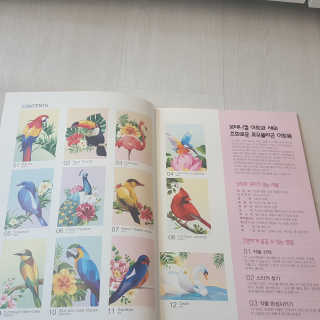 DNA디자인스튜디오 데코폴리 스티커 컬러링 북 — 5점을 준 리뷰어가 2019년 4월 올린 사용 사진