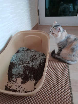 리디아님이 올린 리뷰 사진 2