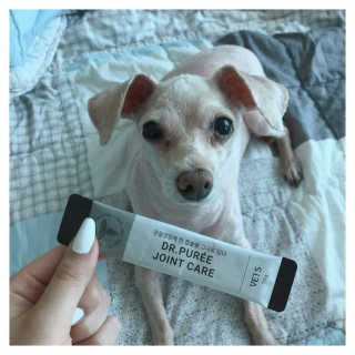 도비님이 올린 리뷰 사진 2