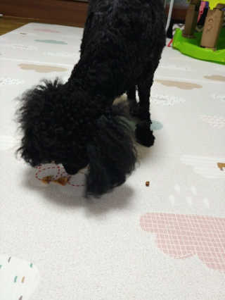 깔라만시아님이 올린 리뷰 사진 1