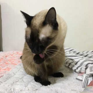 지니님이 올린 리뷰 사진 4