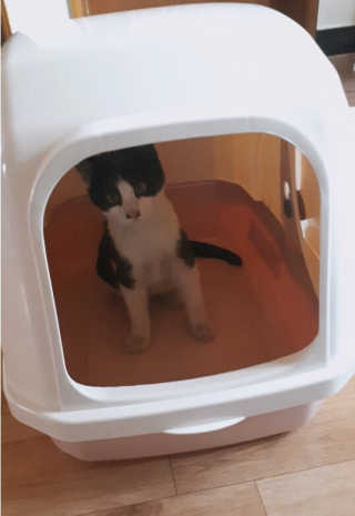 Nan.nani님이 올린 리뷰 사진 1