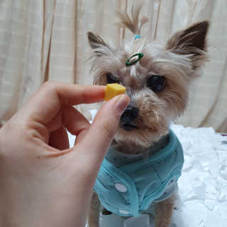 솜희님이 올린 리뷰 사진 2