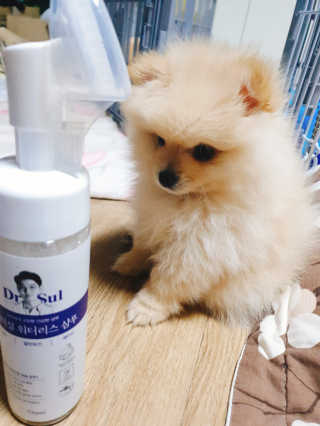 으콩님이 올린 리뷰 사진 4