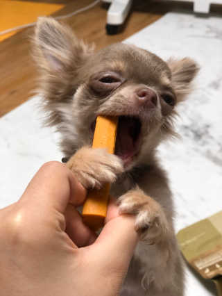 도토밤님이 올린 리뷰 사진 1