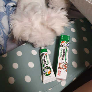 숮이님이 올린 리뷰 사진 1
