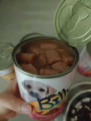 [펫토리아]오스트리아산 강아지 대용량주식캔 빌리 — 5점을 준 리뷰어가 2019년 8월 올린 사용 사진
