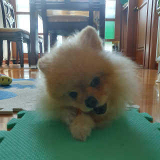 서연스러운님이 올린 리뷰 사진 2