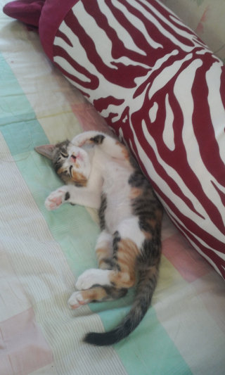 용용님이 올린 리뷰 사진 1
