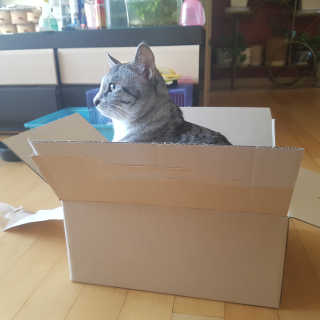 beenny님이 올린 리뷰 사진 4