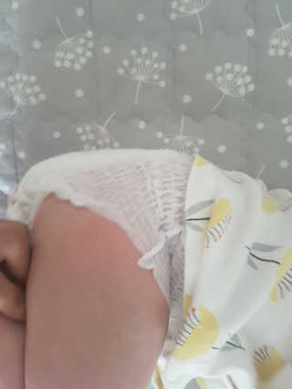 보솜이 액션핏 팬티형 — 5점을 준 리뷰어가 2019년 4월 올린 사용 사진