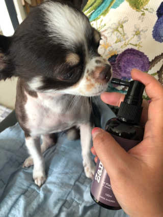 띠띠님이 올린 리뷰 사진 3