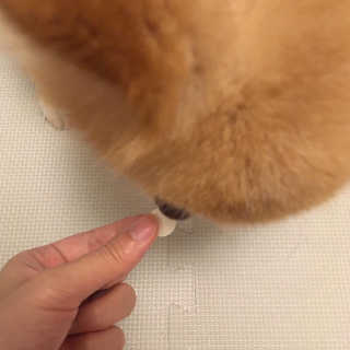 딩이둥이님이 올린 리뷰 사진 4