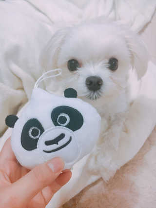 박은비님이 올린 리뷰 사진 1