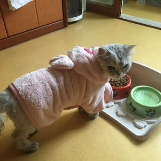 kelynomma님이 올린 리뷰 사진 4