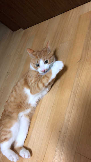 까룡이님이 올린 리뷰 사진 2