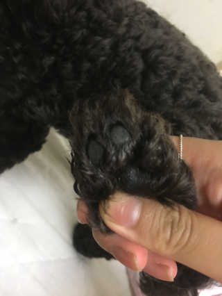 권경연님이 올린 리뷰 사진 3