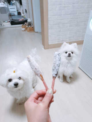 황선아님이 올린 리뷰 사진 1