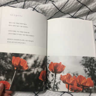 지혜님이 올린 리뷰 사진 2