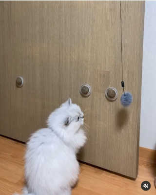 융융이님이 올린 리뷰 사진 2