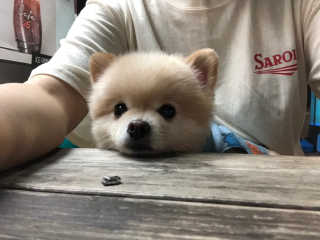 JaeIN님이 올린 리뷰 사진 2