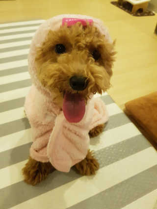 진리뷰님이 올린 리뷰 사진 4