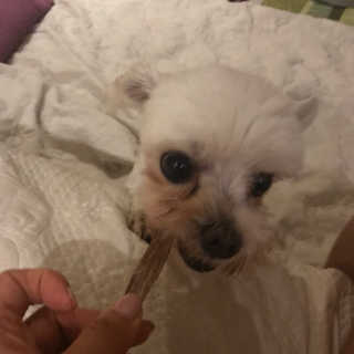 연쥬연쥬님이 올린 리뷰 사진 1