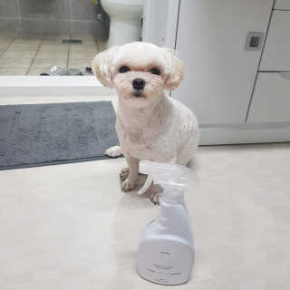 권쁜님이 올린 리뷰 사진 1