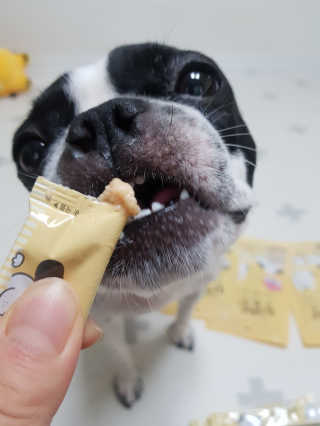 [펫토리아]짜먹는 한입뚝딱 강아지.고양이 마약간식 — 5점을 준 리뷰어가 2019년 8월 올린 사용 사진