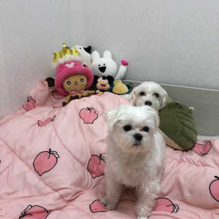 홍지윤님이 올린 리뷰 사진 4